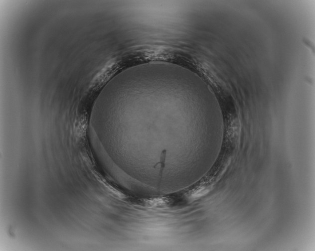 X0000098040513200804071445