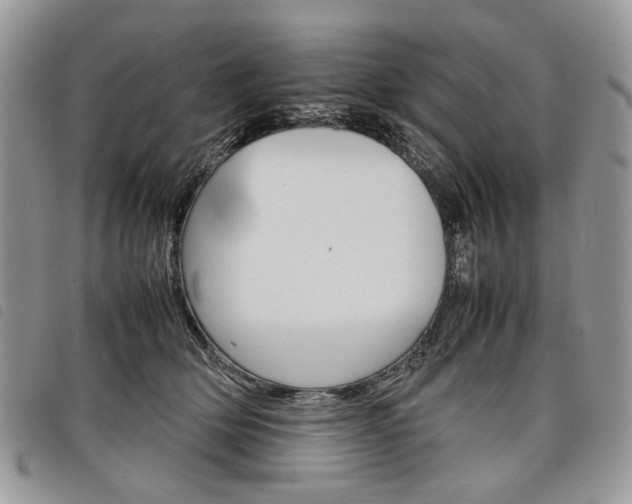 X0000098040514200804071445