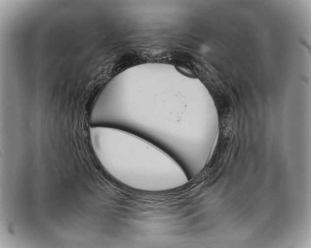 X0000098040515200804071445