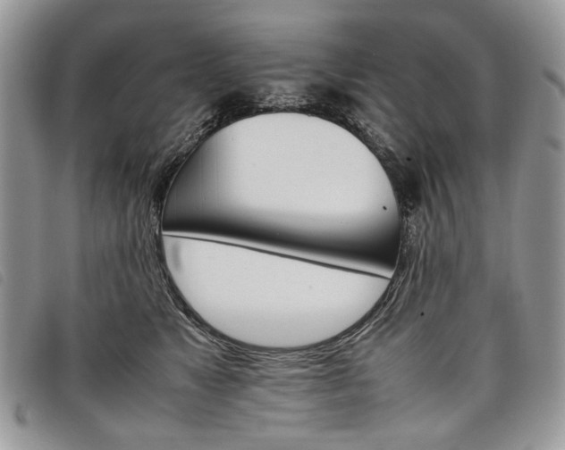 X0000098040517200804071445