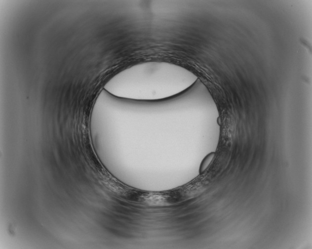 X0000098040518200804071445