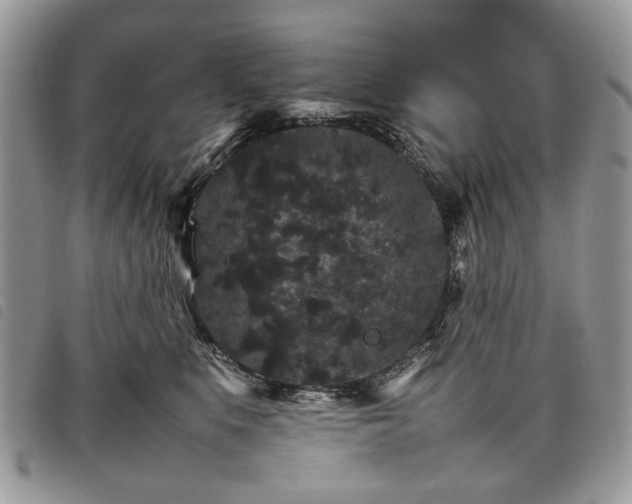 X0000098040519200804071445