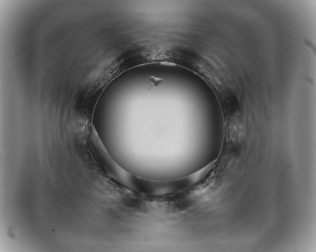 X0000098040521200804071445