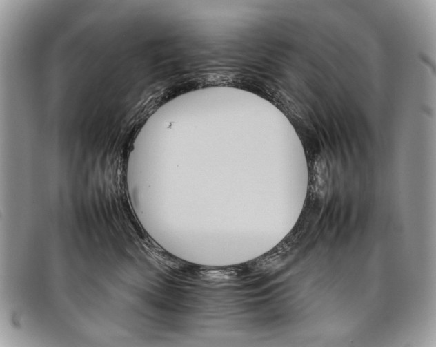 X0000098040522200804071444