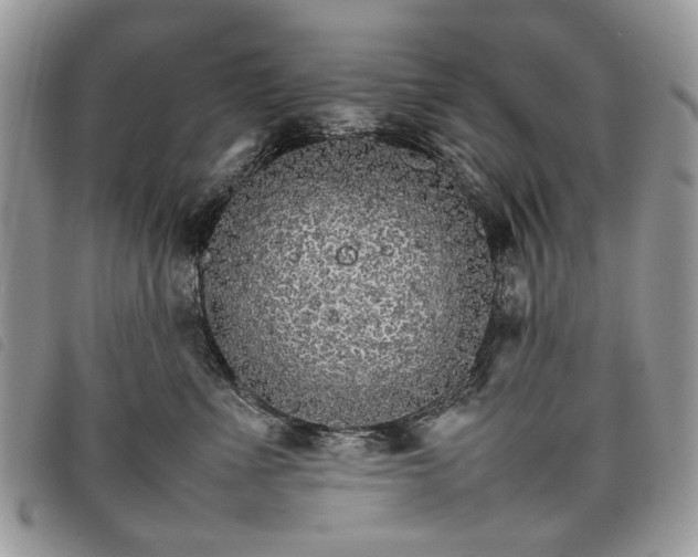 X0000098040523200804071444