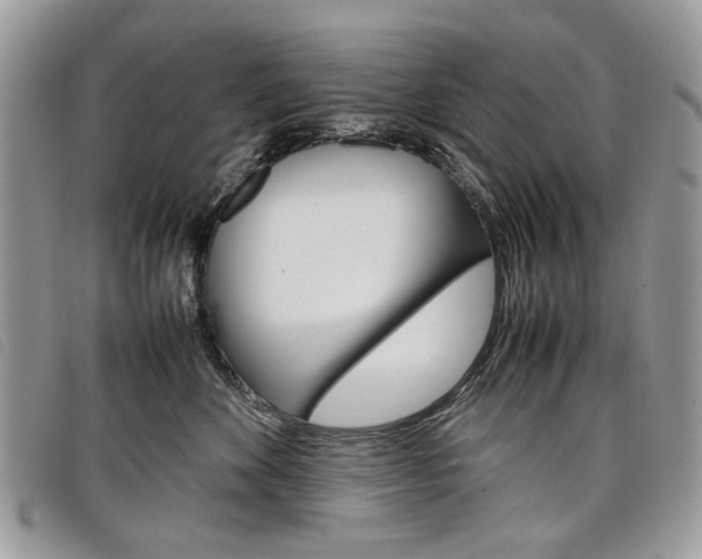 X0000098040524200804071444
