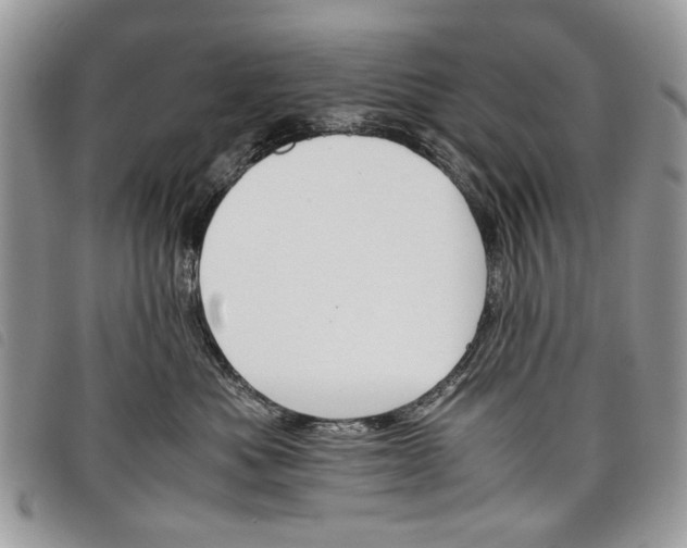 X0000098040525200804071444