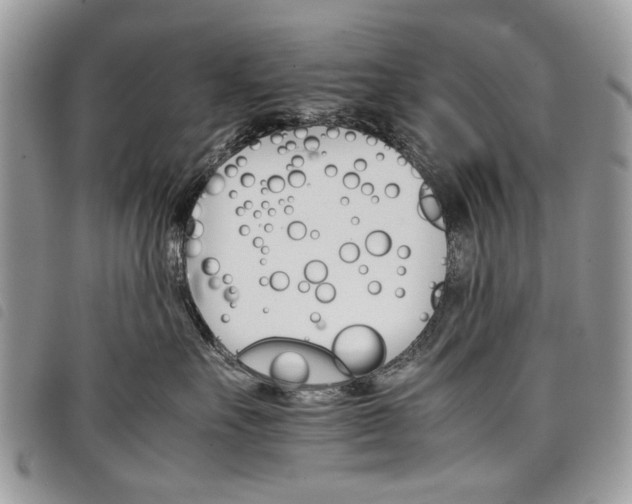 X0000098040527200804071444