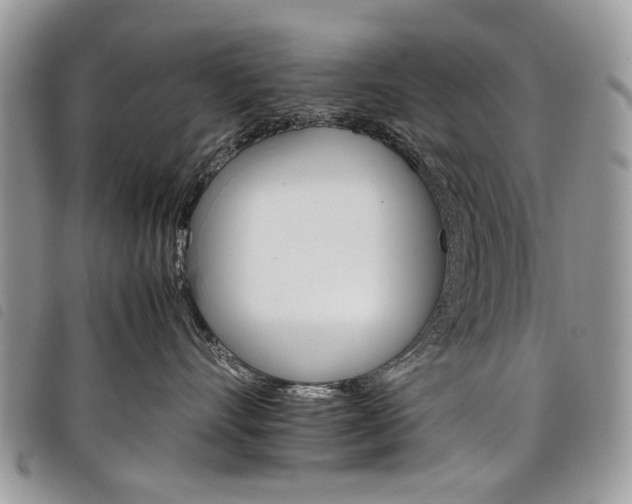 X0000098040528200804071444