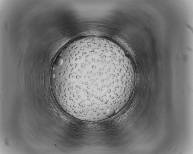 X0000098040529200804071444