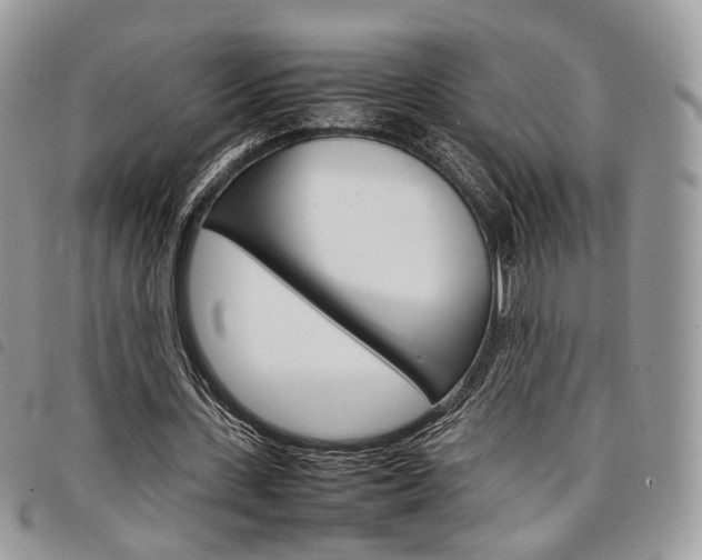 X0000098040531200804071444