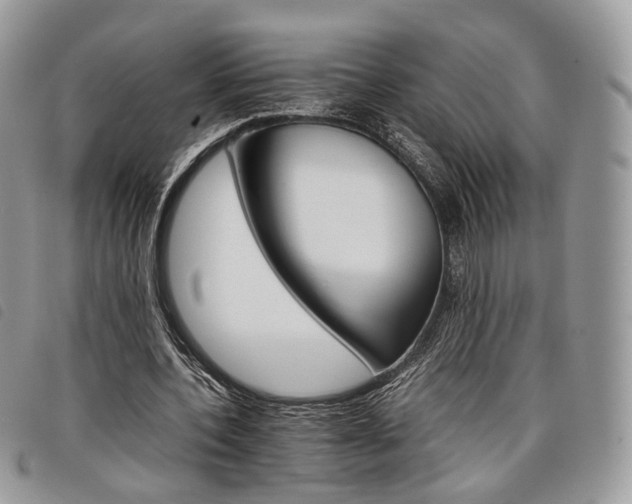 X0000098040532200804071444