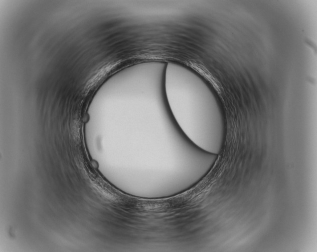 X0000098040533200804071444