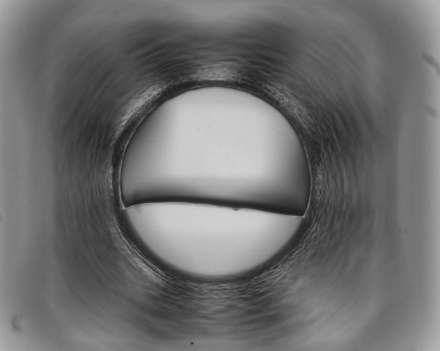 X0000098040535200804071444