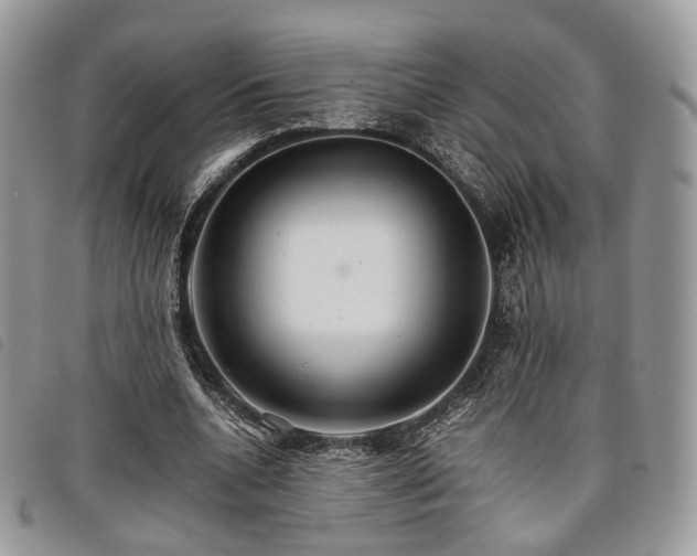 X0000098040536200804071444