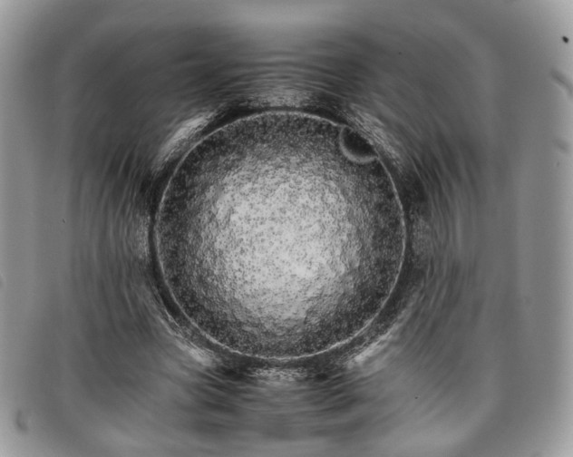 X0000098040537200804071444
