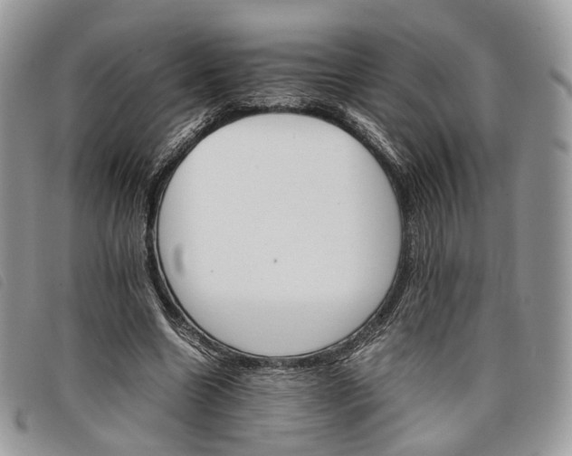 X0000098040538200804071444