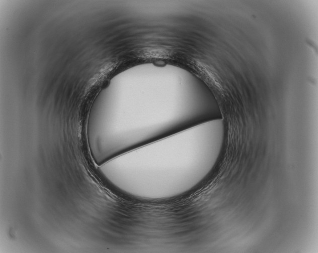 X0000098040539200804071444