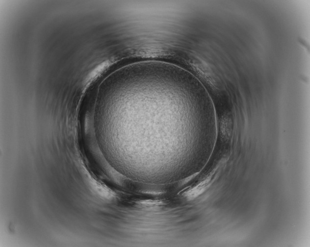 X0000098040540200804071444