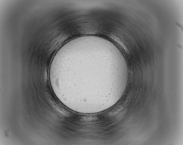 X0000098040541200804071444