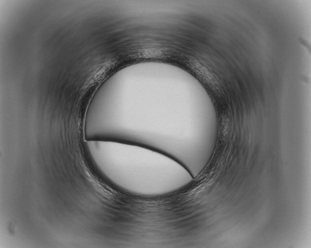 X0000098040542200804071444