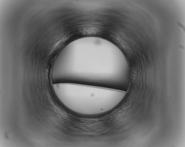 X0000098040543200804071444