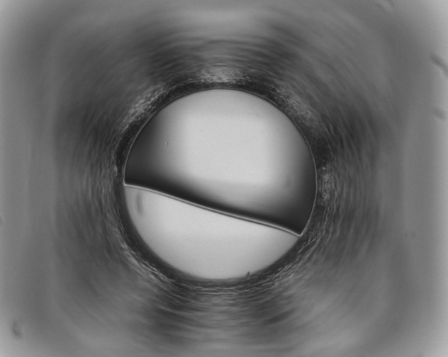 X0000098040544200804071444