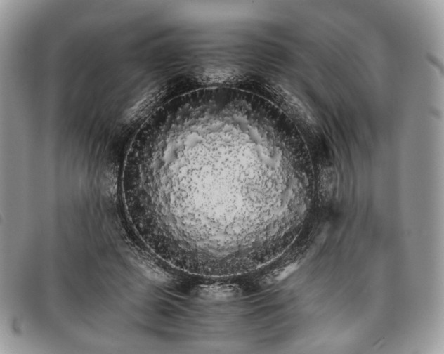 X0000098040545200804071444