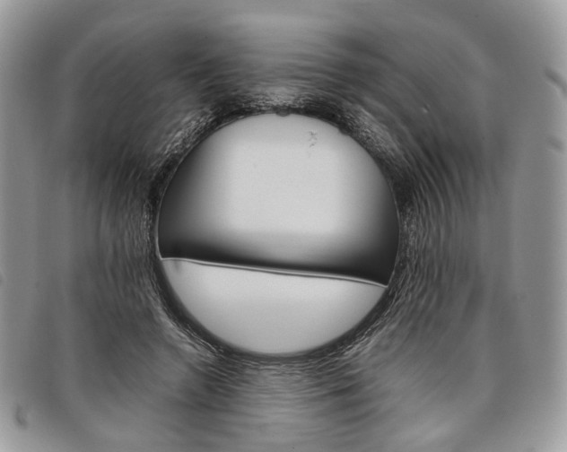 X0000098040546200804071444