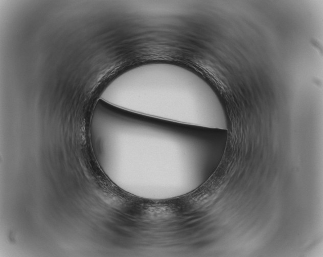 X0000098040547200804071444