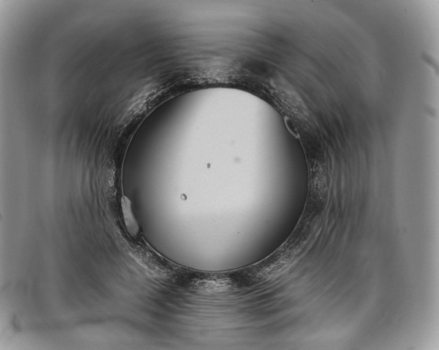 X0000098040548200804071444