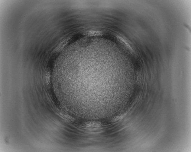 X0000098040549200804071444
