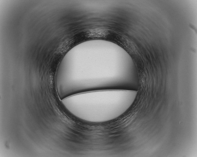 X0000098040551200804071444