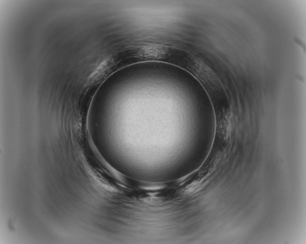 X0000098040552200804071444