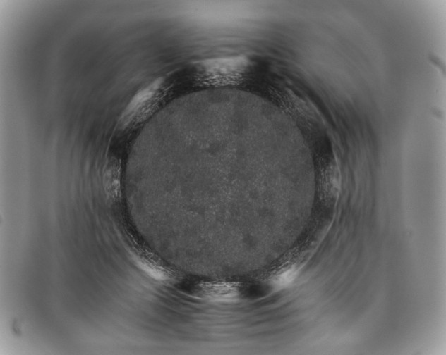 X0000098040553200804071444