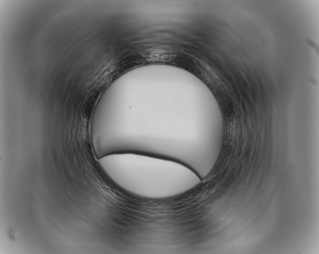 X0000098040554200804071444