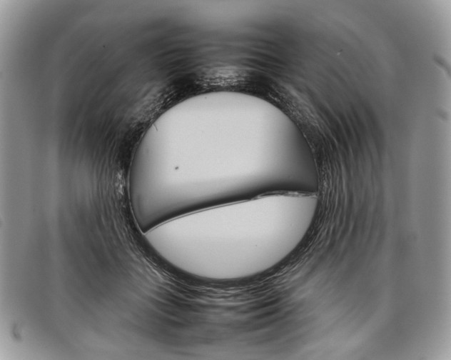 X0000098040555200804071444