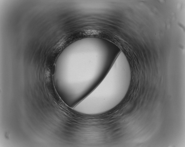 X0000098040556200804071444