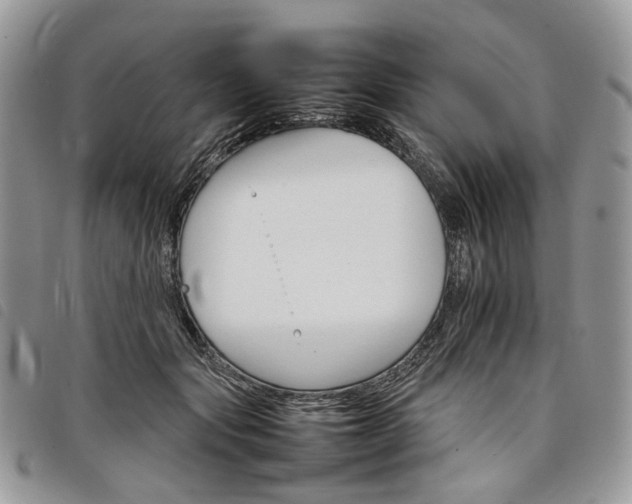 X0000098040557200804071444
