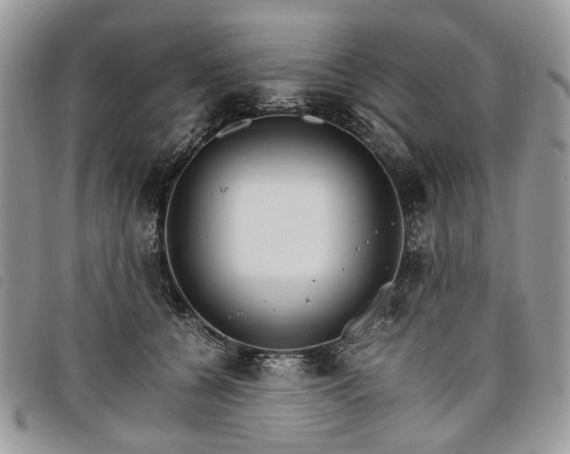 X0000098040560200804071444
