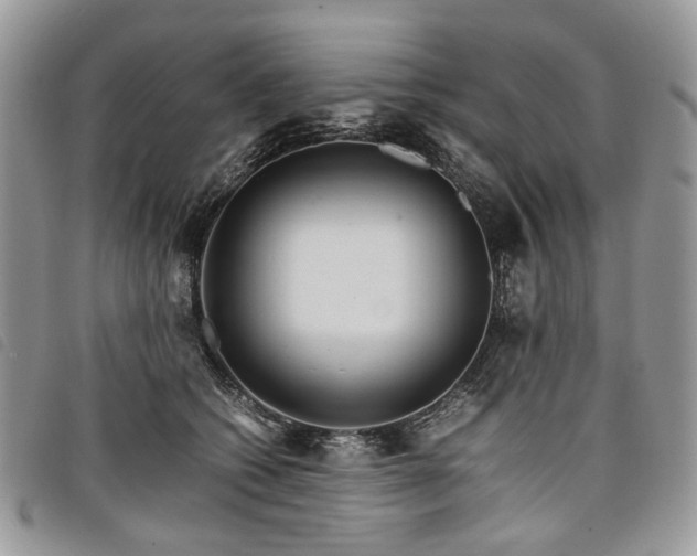 X0000098040562200804071444