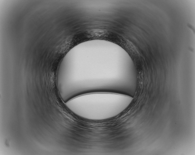 X0000098040563200804071444