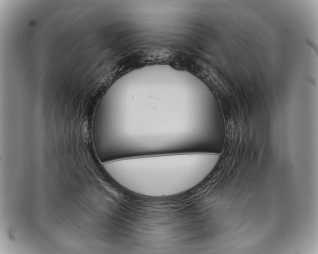 X0000098040564200804071444