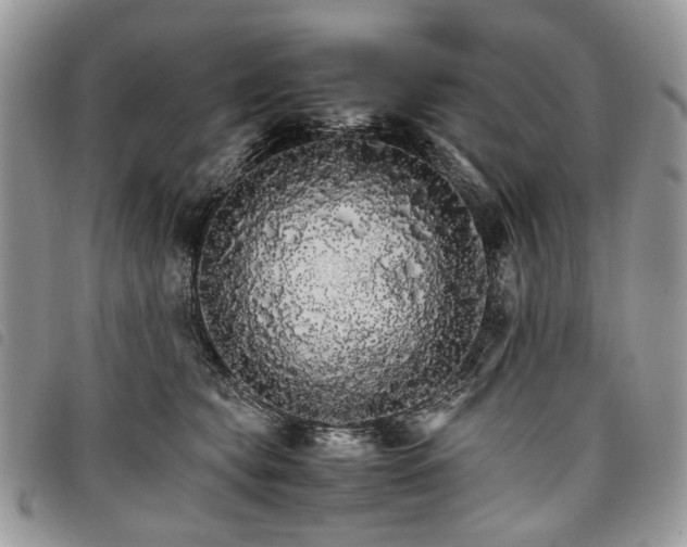 X0000098040565200804071444