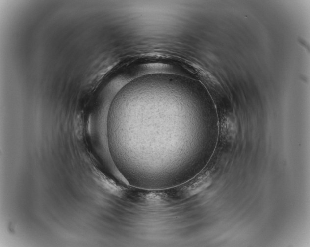 X0000098040566200804071444