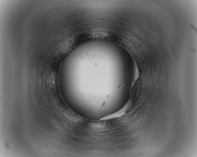 X0000098040567200804071444