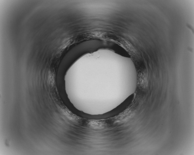 X0000098040568200804071444
