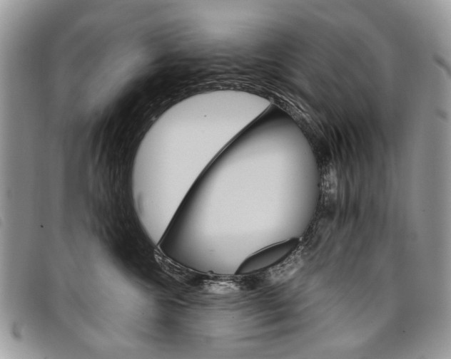 X0000098040572200804071444