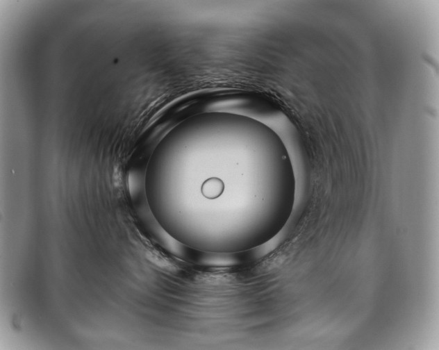 X0000098040576200804071444