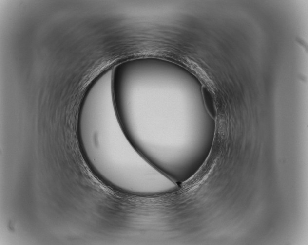 X0000098040577200804071444